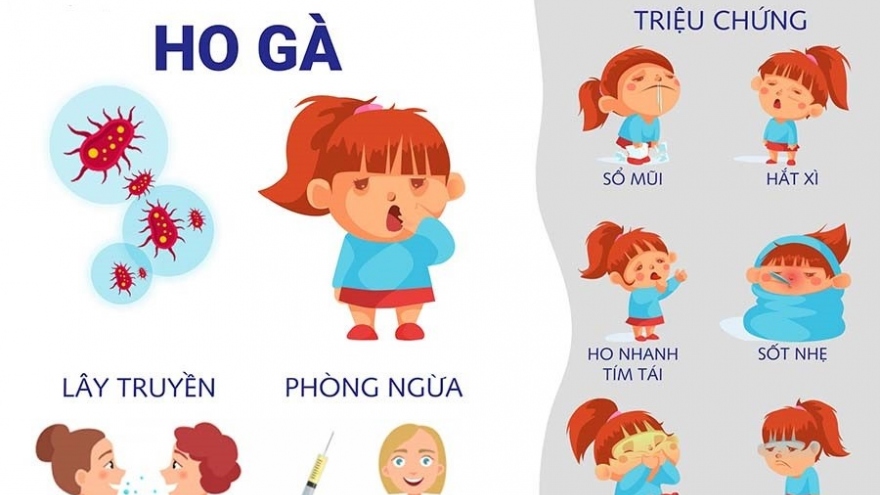 Các biện pháp phòng chống bệnh ho gà và các bệnh dự phòng bằng vaccine